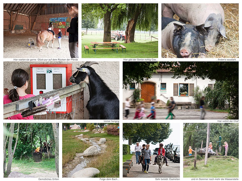 Der Sonnenhof Stuttgart